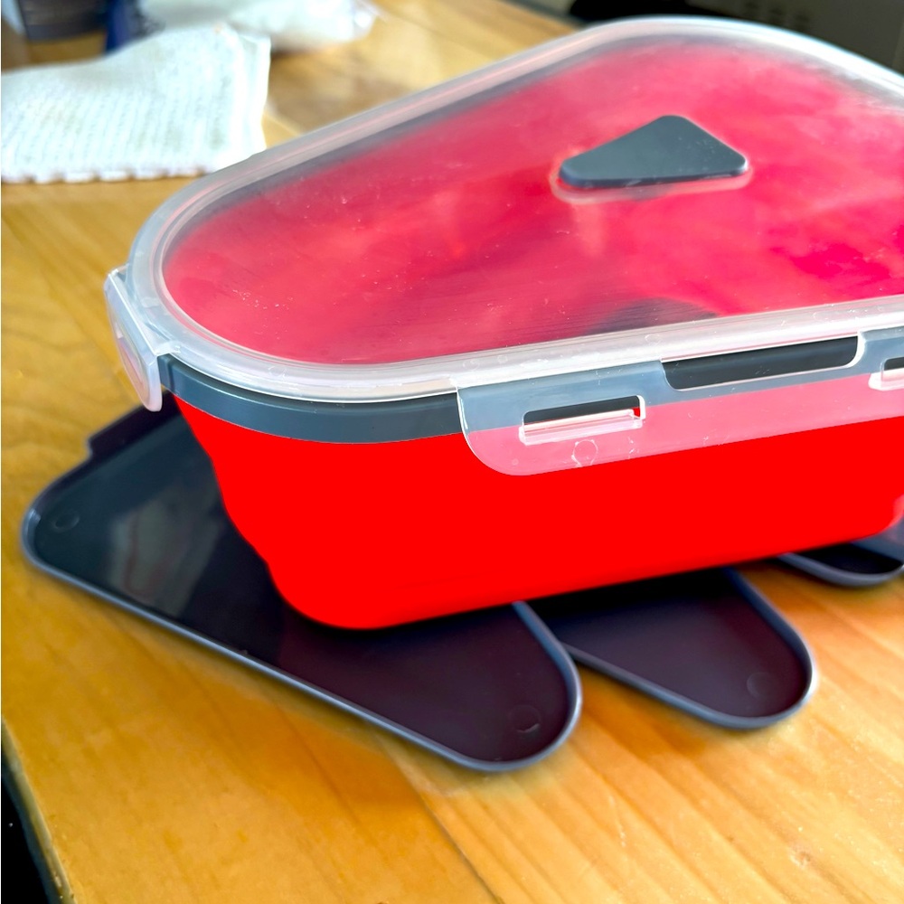 EUC Silicone Pizza storage container 🍕